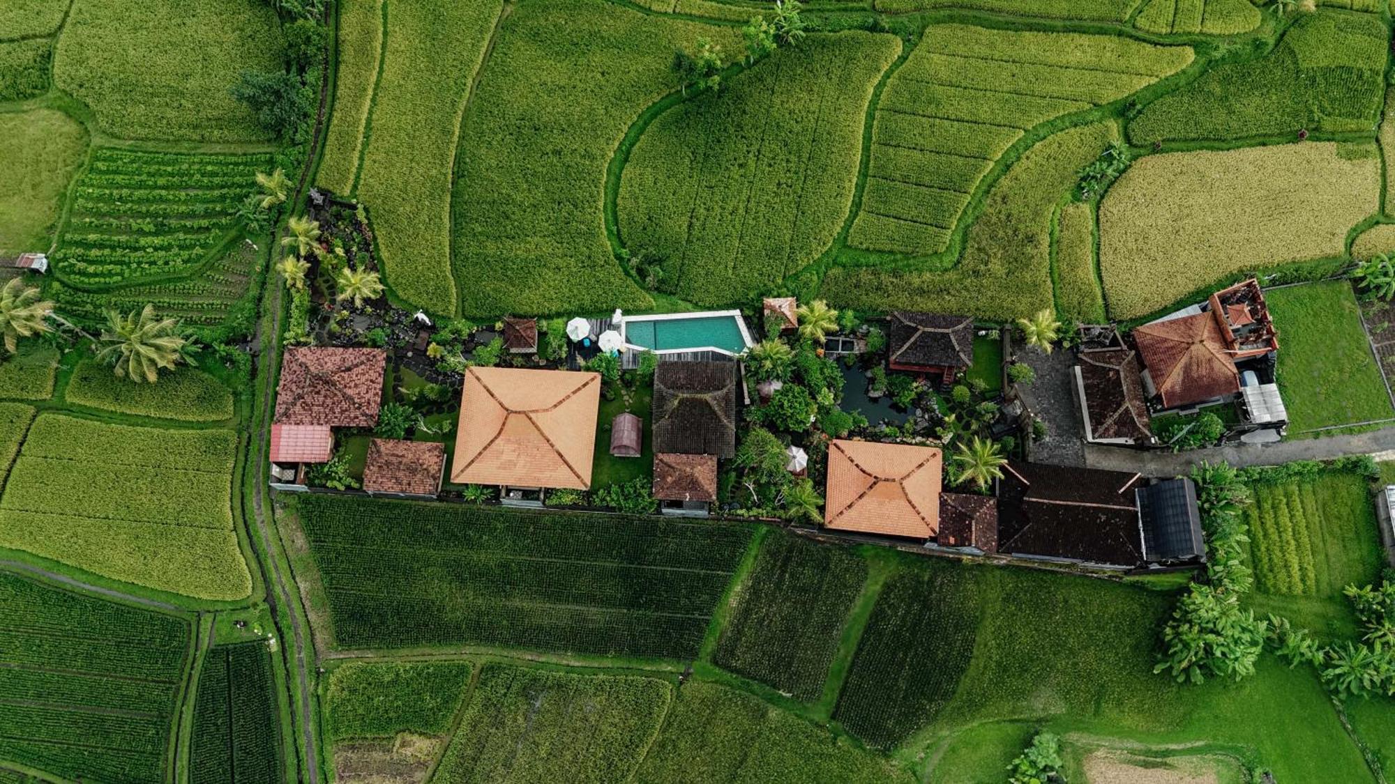 Billys Ayodya Villa Perean 外观 照片